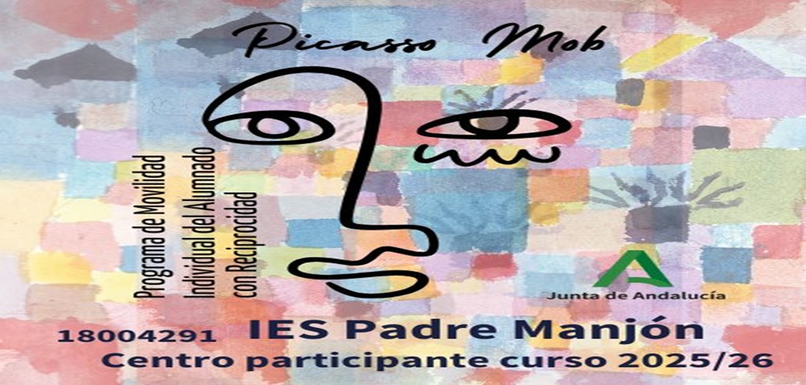 PicassoMob: movilidad con Francia